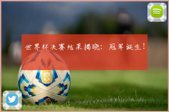 世界杯决赛结果揭晓：冠军诞生！