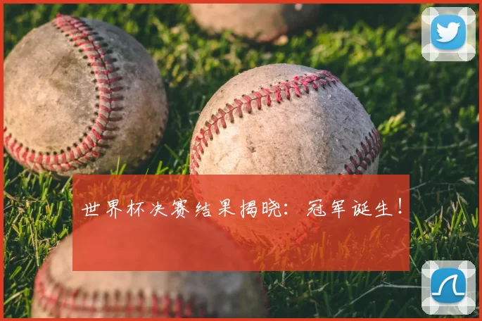 世界杯决赛结果揭晓:冠军诞生!