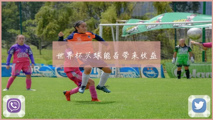世界杯买球能否带来收益