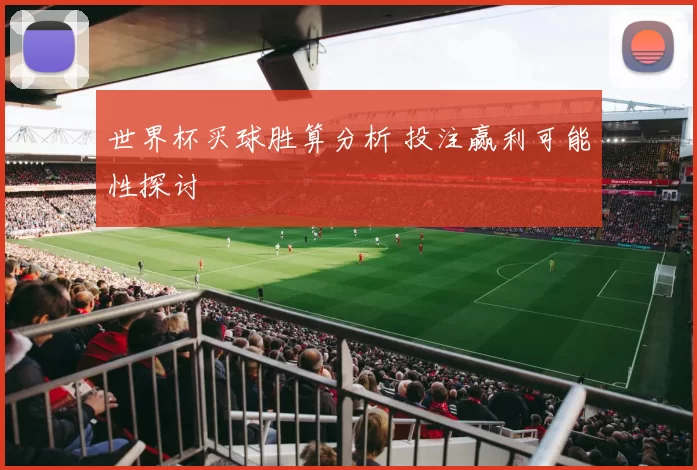世界杯买球胜算分析 投注赢利可能性探讨