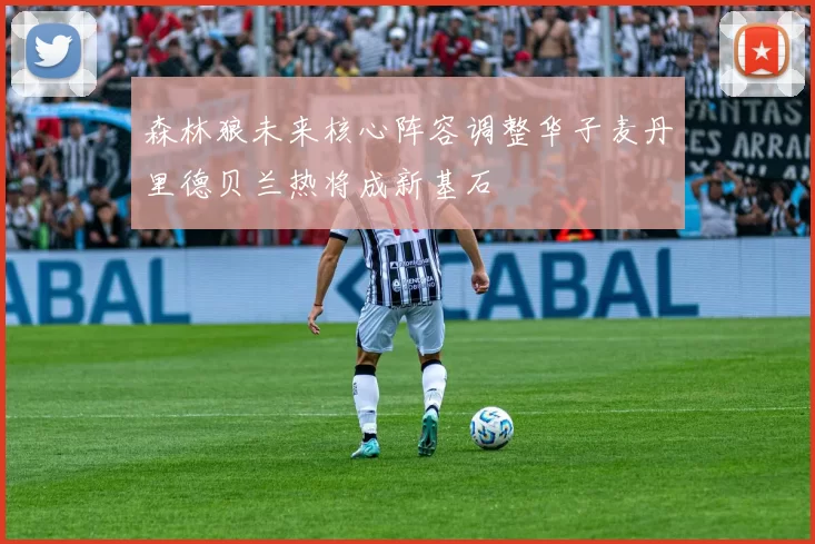 森林狼未来核心阵容调整华子麦丹里德贝兰热将成新基石