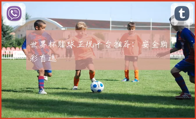 世界杯赌球正规平台推荐:安全购彩首选