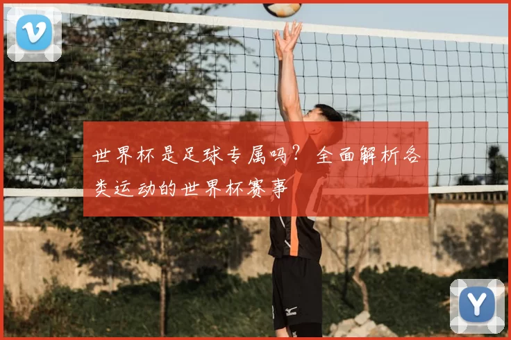 世界杯是足球专属吗?全面解析各类运动的世界杯赛事