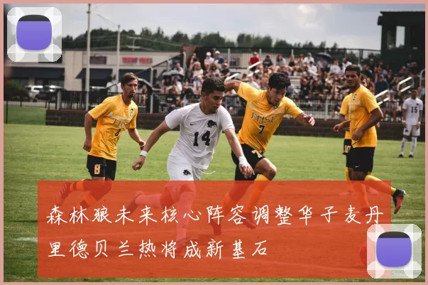 森林狼未来核心阵容调整华子麦丹里德贝兰热将成新基石